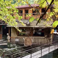Ресторан Армазис Цкаро