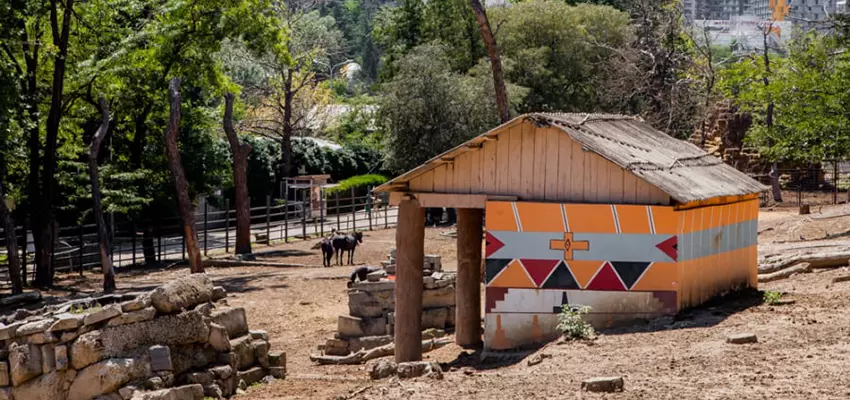 Tbilisi Zoo
