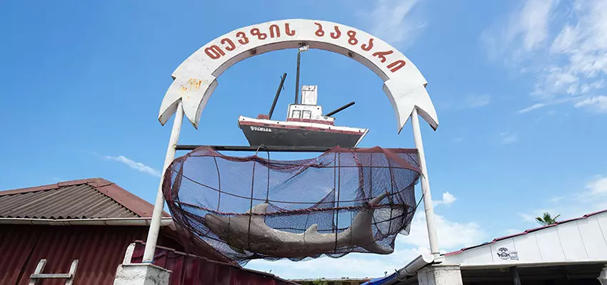 თევზის ბაზარი