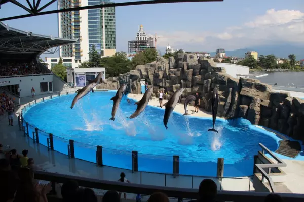 Batumi Dolphinarium