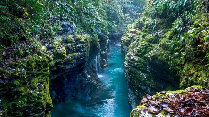 Martvili Canyon