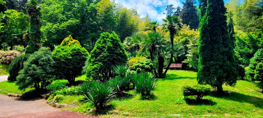 Batumi Botanical Garden