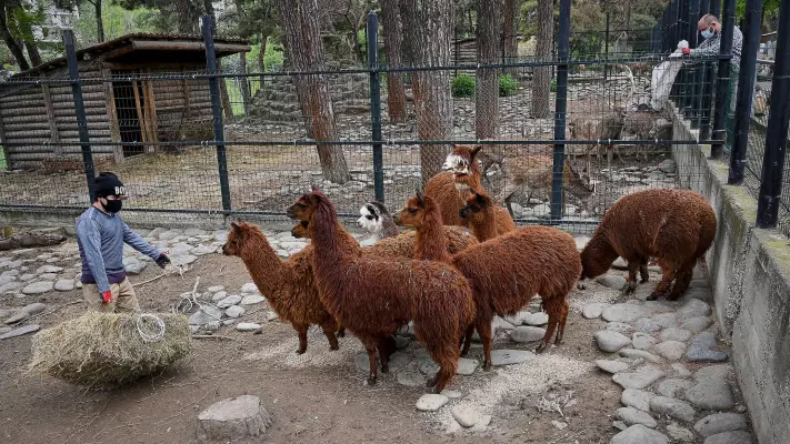 Tbilisi Zoo