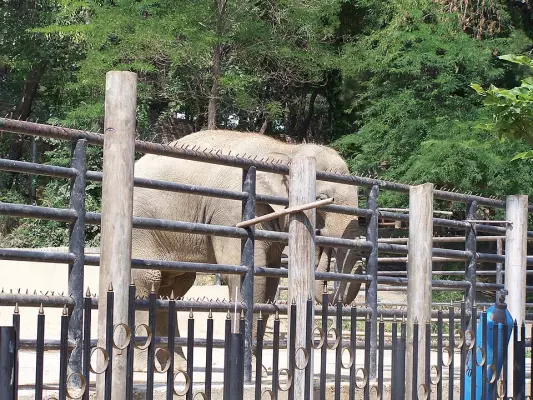 Tbilisi Zoo